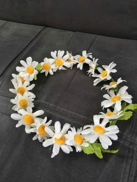 Photo of free Daisy crown (Highgate N6) #1