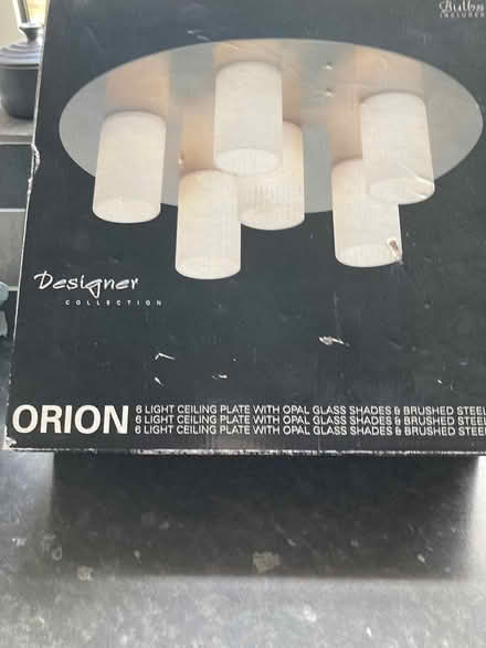 Photo of free Ceiling light (West Swindon - Ramleaze) #1
