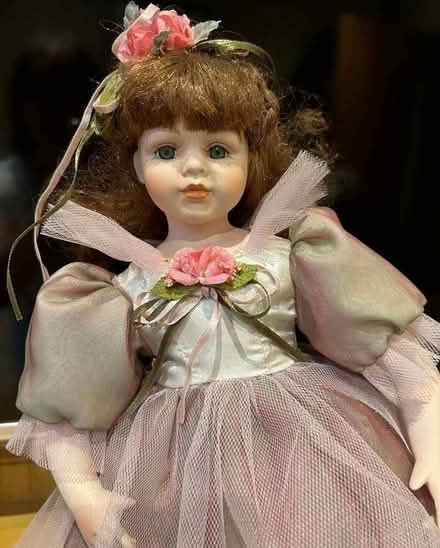 Photo of free Collectors Doll with display stand (Winkfield Row SL5) #1