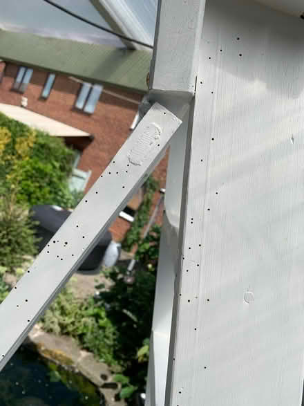 Photo of free 6ft Wedding stepladder (ME8 Twydall) #2