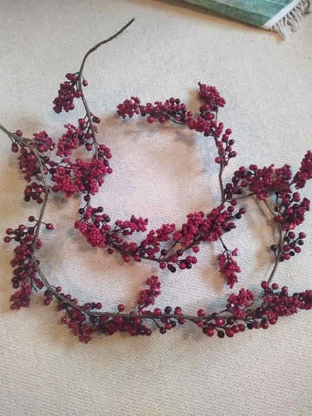 Photo of free Two decorative berry garlands (Baldock SG7) #1