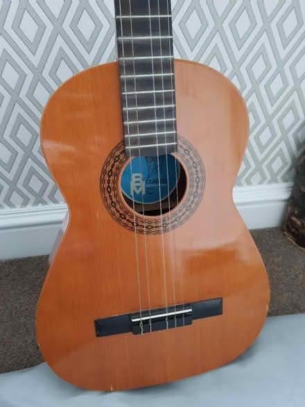 Photo of free Guitar with cover (OL12) #1