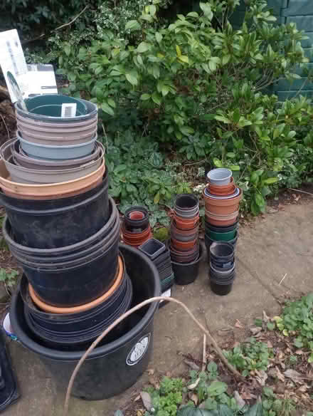 Photo of free Plant pots (Stoughton GU2) #1