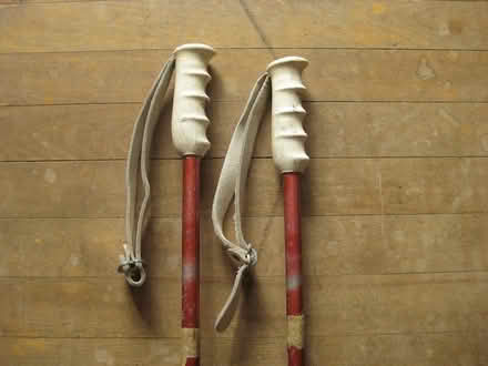 Photo of free Downhill ski poles (walking poles?) (Vanier) #3