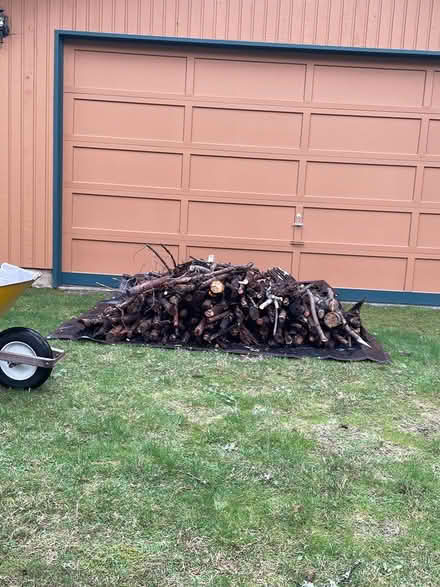 Photo of free Curbside Firewood for Outdoor Burn (Woodinville) #2