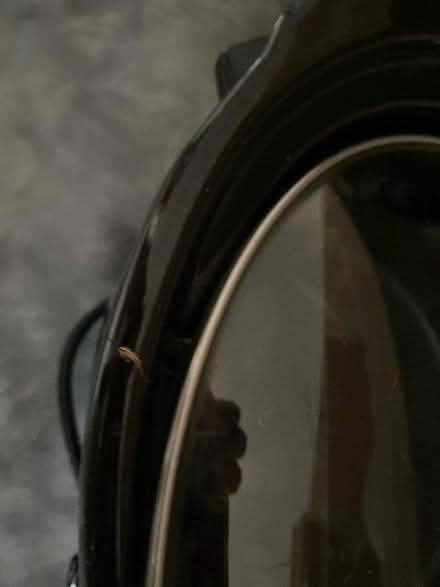 Photo of free Slow cooker (Batheaston) #1