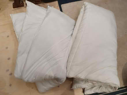 Photo of free Two double duvets (N8) #1