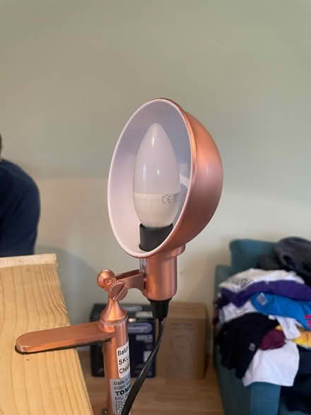 Photo of free Lamp (SE6) #2