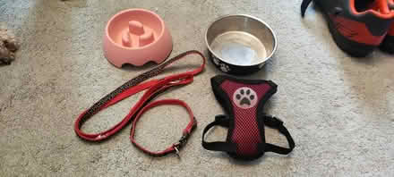 Photo of free Puppy items (Harborne B17) #1