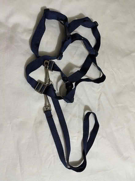 Photo of free Toddler harness (Oxford OX2) #1