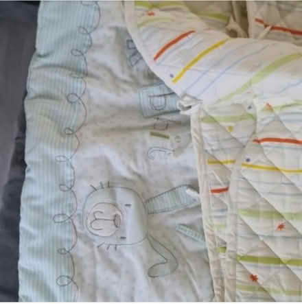 Photo of free Cot bumper (CR0) #1