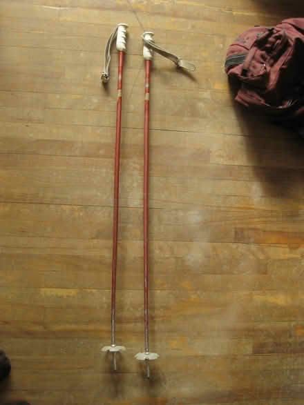 Photo of free Downhill ski poles (walking poles?) (Vanier) #1