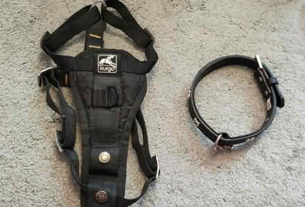 Photo of free Dog harness and collar (Harborne B17) #1