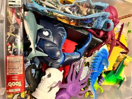 Photo of free Playmobil Pirate toy sets (1 block from Dominion HS) #2