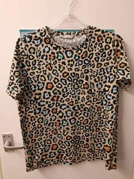Photo of free Ladies top. (Otford TN14) #1