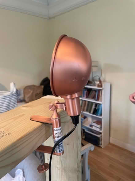 Photo of free Lamp (SE6) #1