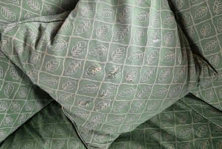 Photo of free Large green three seater sofa (Clayhill TN31) #3