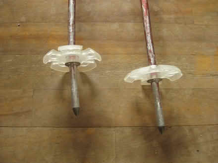 Photo of free Downhill ski poles (walking poles?) (Vanier) #2