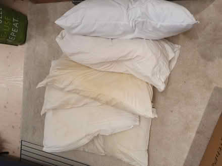 Photo of free Assorted pillows x 6 (N8) #1