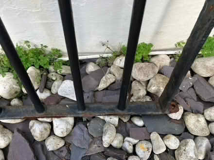 Photo of free Classic Victorian style iron garden gate (West Hill BN1) #4