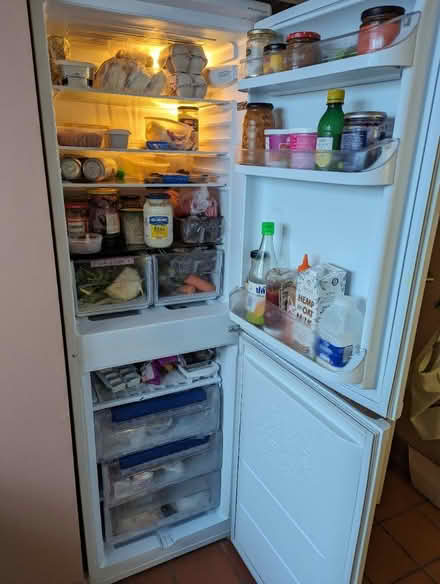 Photo of free Fridge freezer (Leytonstone) #3