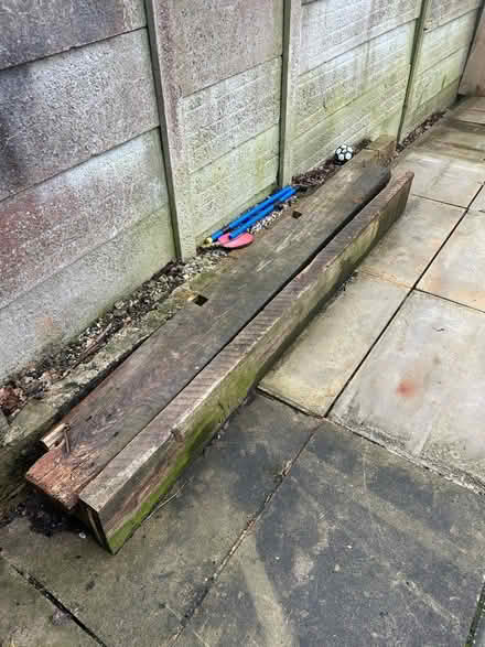 Photo of free Big timbers (HX2) #1