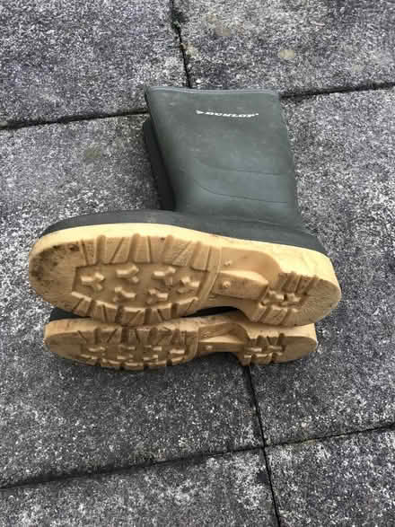 Photo of free Wellies size 5 (Tunbridge Wells N. TN4) #1