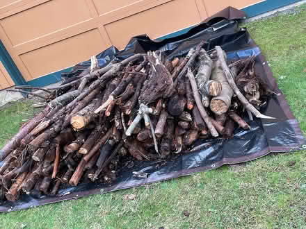 Photo of free Curbside Firewood for Outdoor Burn (Woodinville) #1