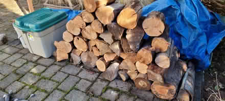 Photo of free Firewood & Kindling (Sprague HS) #2