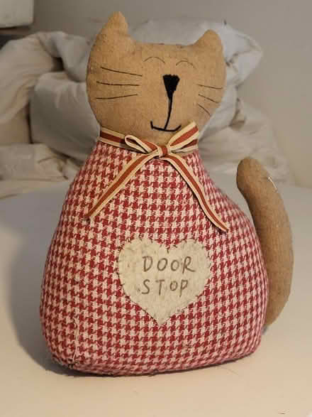 Photo of free Cat door stop (Everton SO41) #1