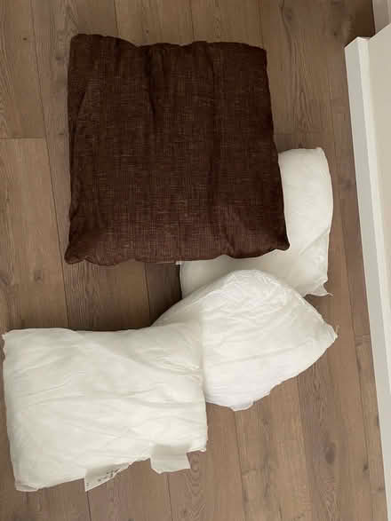 Photo of free New pillows—only used for a week (Kenton HA3) #1