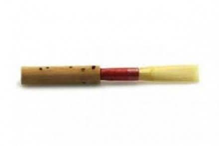 Photo of oboe reed (St Leonards Green TN38) #1