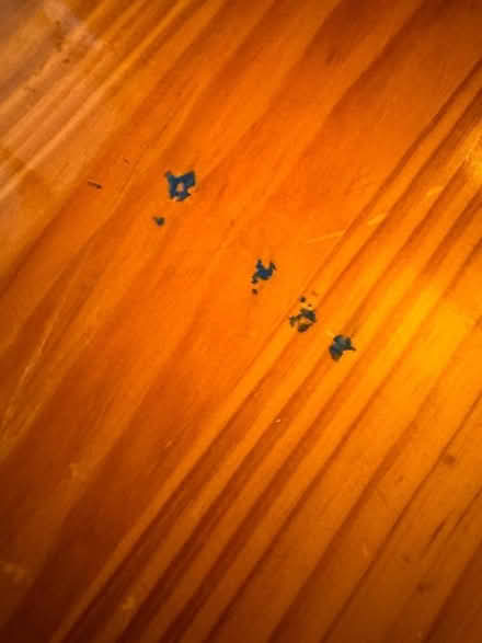 Photo of free Nest of tables (Alnwickhill EH16) #1