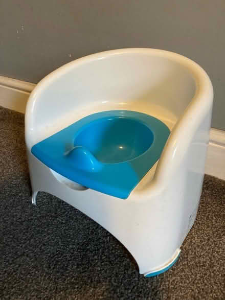 Photo of free Potty (Radstock, BA3) #1