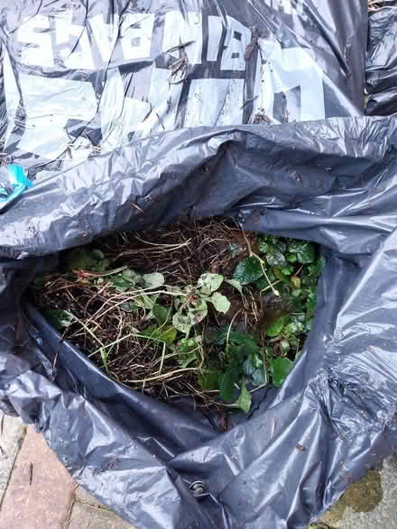 Photo of free Soil (Cowley OX4) #3