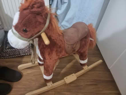Photo of free Horse (SW16 norbury) #1