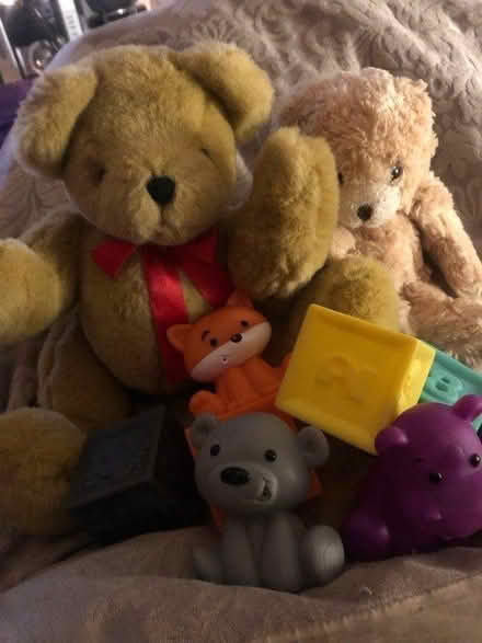 Photo of free Teddies and bath toys (Chiswick Park Station) #2