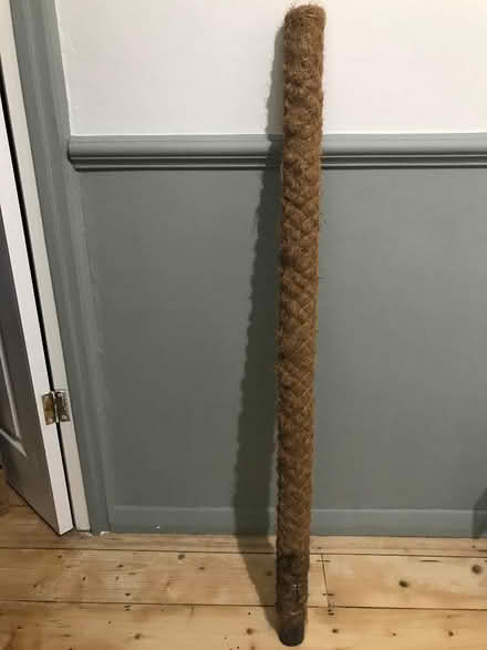 Photo of free Coir plant pole (Blackheath SE3) #1