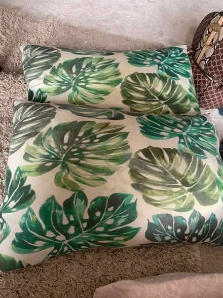 Photo of free Pillows (Keynsham) #1