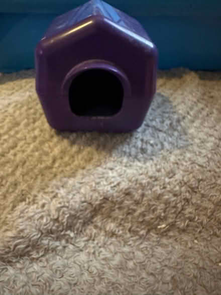 Photo of free Hamster cage and bits and bobs (Hebburn) #4