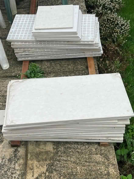 Photo of free Porcelain Tiles (Whitton TW3) #1