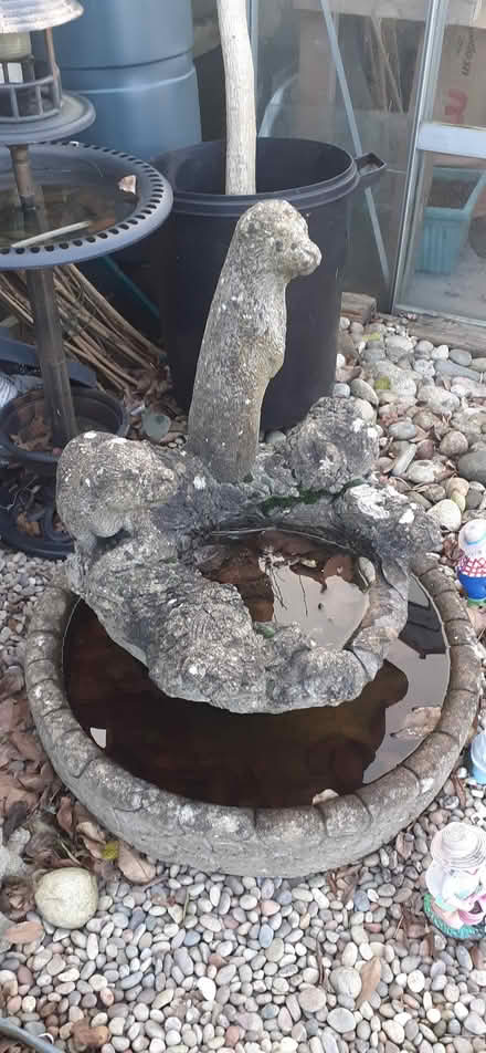 Photo of free Concrete Otters water feature (Iver SL0) #1