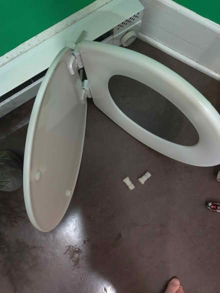 Photo of free New toilet seat, round (Ballard) #1