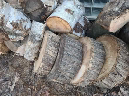 Photo of free wood! Maple, Oak, Birch (West Bloomfield) #3