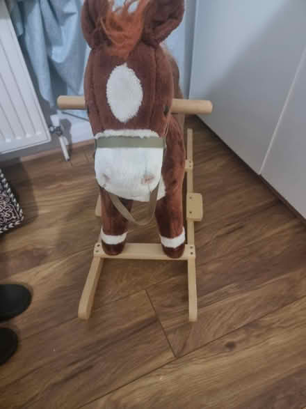 Photo of free Horse (SW16 norbury) #3