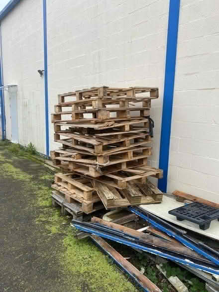 Photo of free Pallets ideal for fire wood (SG8) #1