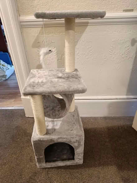 Photo of free Cat tree (Cambuslang) #1