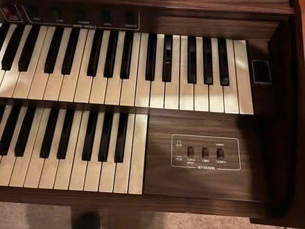 Photo of free Electronic Organ (RG1 Palmer Park) #1