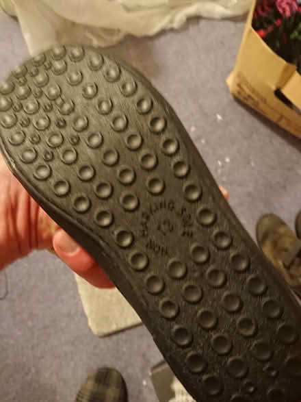 Photo of free Plimsolls, children's size 13 (West Chesterton, CB4) #1