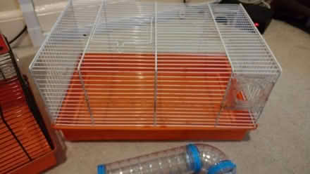 Photo of free Hamster cages and accessories (Timperley WA15) #4